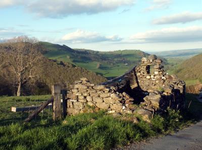 261 BACK ROAD TO LLAWRYGLYN.jpg